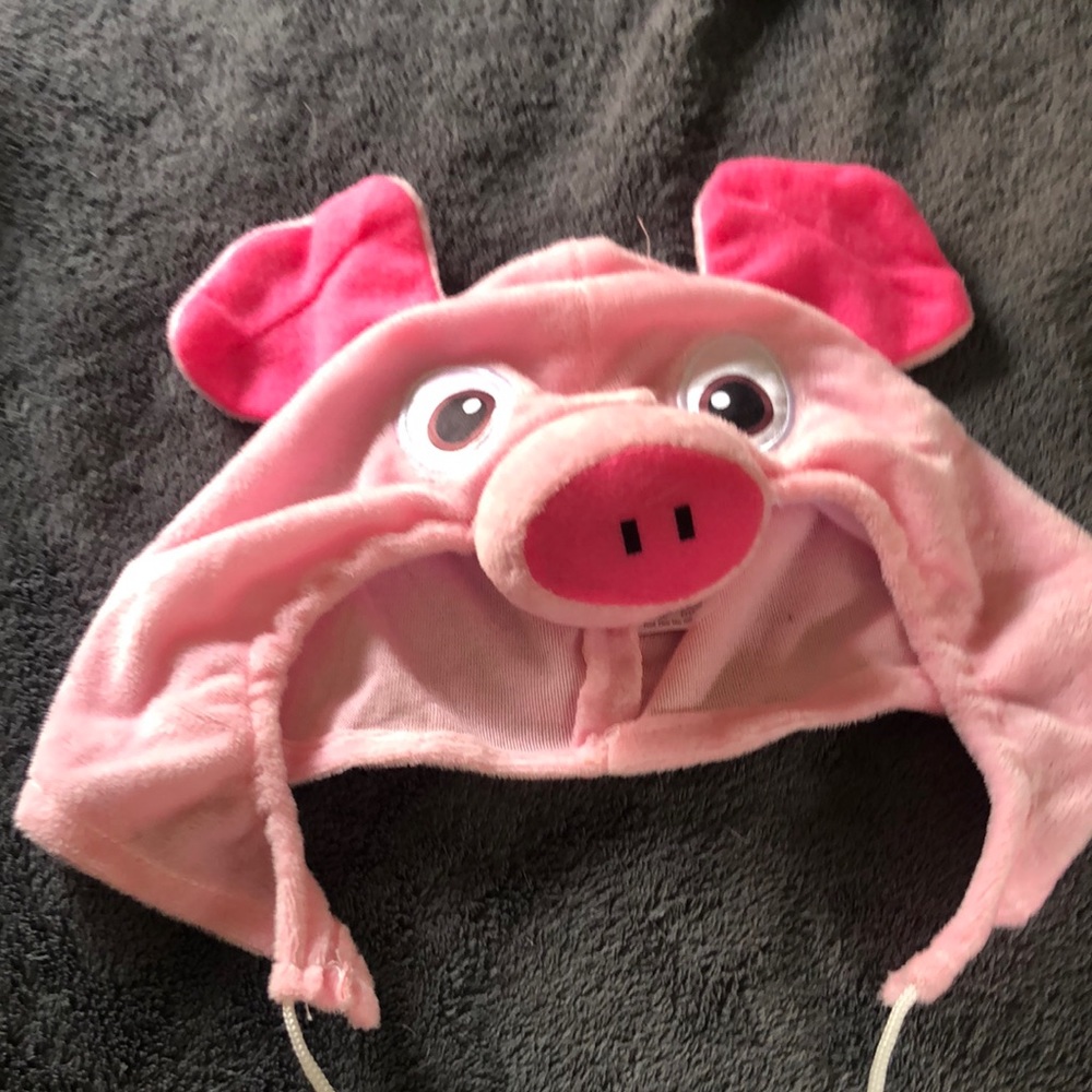 Dog costume for pet. Hat only!‎